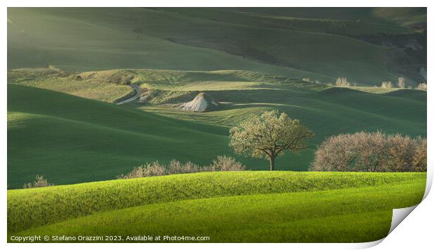 Spring in Tuscany, rolling hills and trees. Pienza, Italy Print by Stefano Orazzini