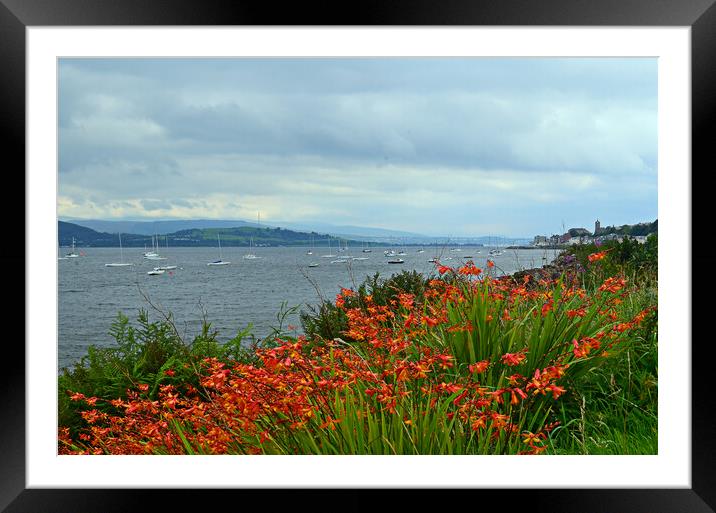 Gourock, Inverclyde, West Coast of Scotland Framed Mounted Print by Allan Durward Photography
