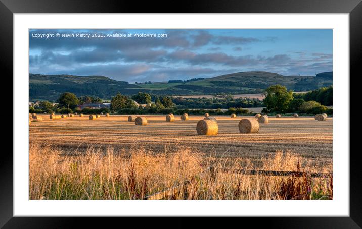 Haybales in the Evening Light Bridge of Earn Framed Mounted Print by Navin Mistry