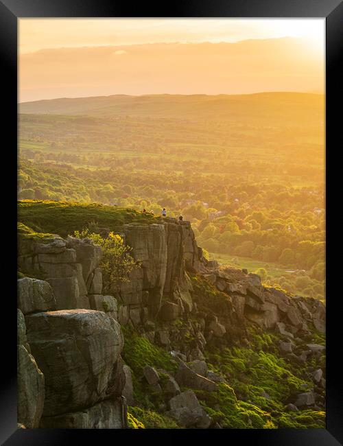 Ilkley Cow and Calf Sunset Framed Print by Paul Grubb