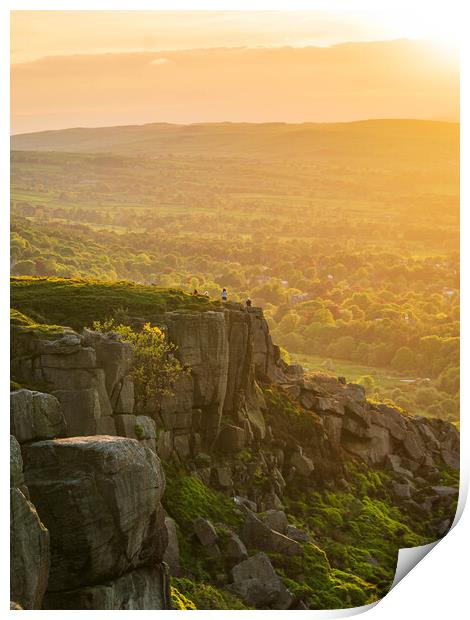 Ilkley Cow and Calf Sunset Print by Paul Grubb