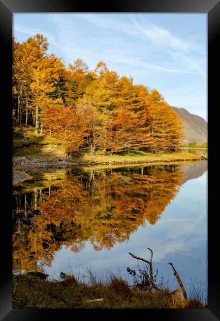 Buttermere Reflections Framed Print by Steve Smith