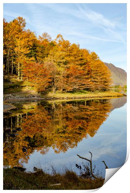 Buttermere Reflections Print by Steve Smith