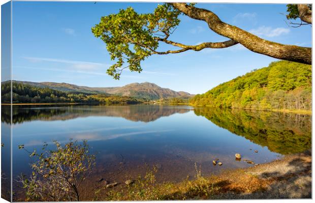 Loch Voil Canvas Print by Steve Smith