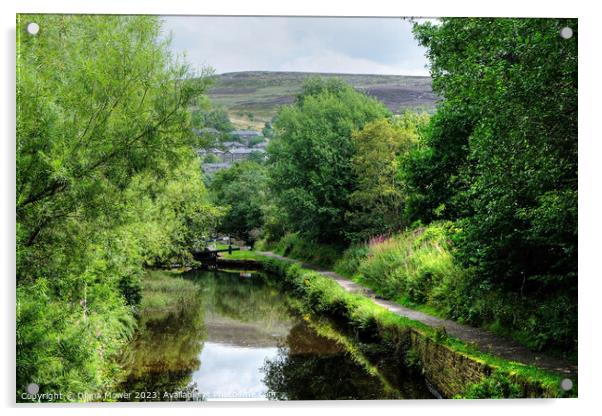 Huddersfield Narrow Canal View Acrylic by Diana Mower