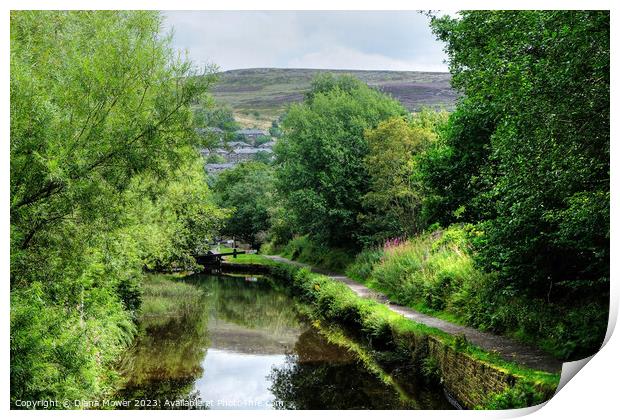 Huddersfield Narrow Canal View Print by Diana Mower