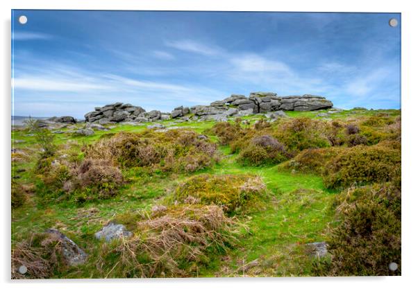 smallacoombe rocks near Haytor Dartmoor Acrylic by Eddie John