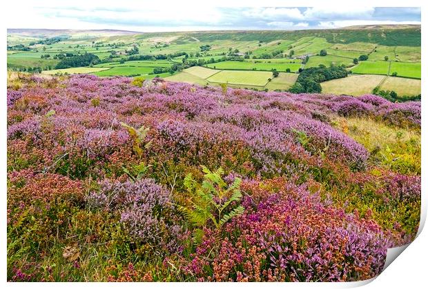 Heather Moorland on the North York Moors Print by Martyn Arnold