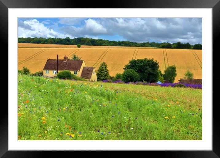 Field of Wildflowers Framed Mounted Print by Susan Snow