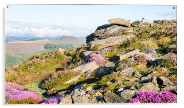Win Hill from Bamford Edge Acrylic by Tim Hill