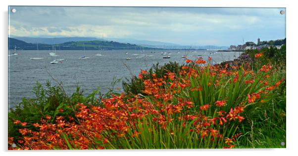 Flowers on the bank of the Clyde at Gourock Acrylic by Allan Durward Photography
