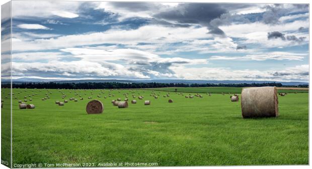 Harvested Resilience: Hay Bales in Moray Canvas Print by Tom McPherson