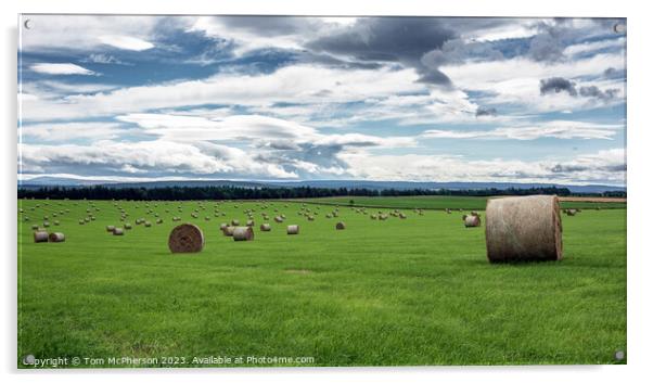 Harvested Resilience: Hay Bales in Moray Acrylic by Tom McPherson