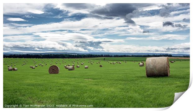 Harvested Resilience: Hay Bales in Moray Print by Tom McPherson