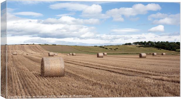 Harvest Echoes in Moray Countryside Canvas Print by Tom McPherson