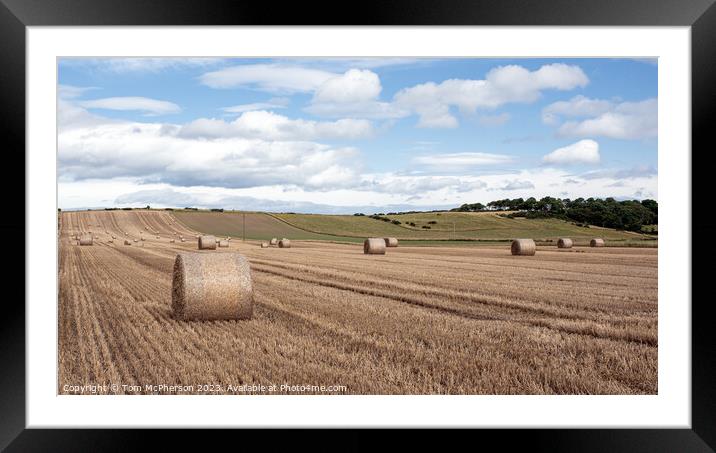 Harvest Echoes in Moray Countryside Framed Mounted Print by Tom McPherson
