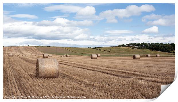 Harvest Echoes in Moray Countryside Print by Tom McPherson