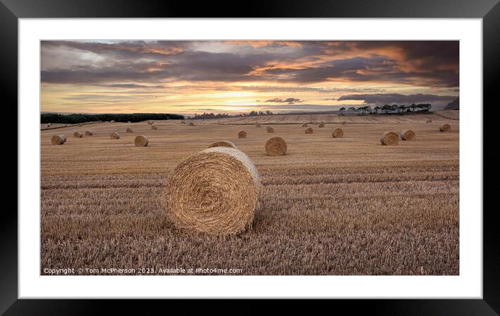 Harvest Twilight: Vitality in the Countryside Framed Mounted Print by Tom McPherson