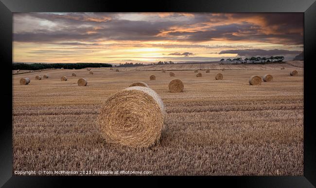 Harvest Twilight: Vitality in the Countryside Framed Print by Tom McPherson