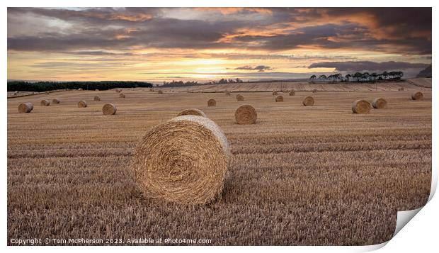 Harvest Twilight: Vitality in the Countryside Print by Tom McPherson