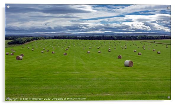 Winter's Bounty: Moray's Verdant Hayfields Acrylic by Tom McPherson