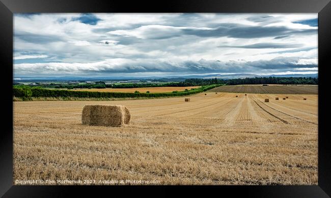 Harvest's End: A Moray Field's Story Framed Print by Tom McPherson