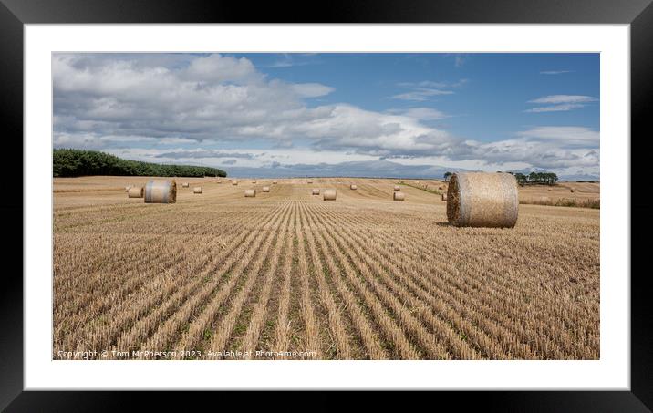 Outdoor field of hay bales near Hopeman Framed Mounted Print by Tom McPherson