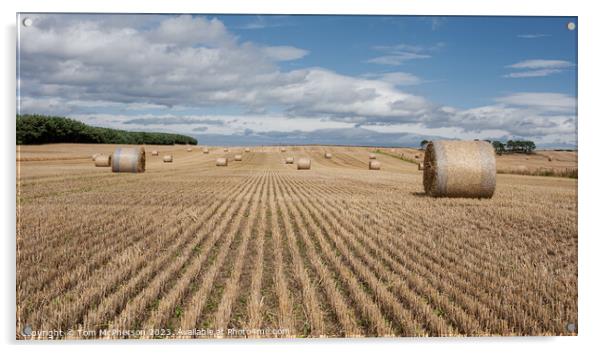 Outdoor field of hay bales near Hopeman Acrylic by Tom McPherson