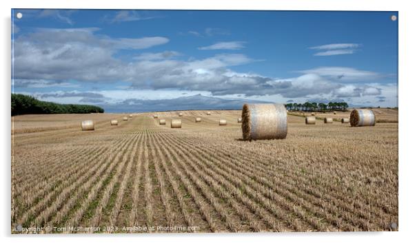 Harvest's Bounty: Hay Bales in Moray Acrylic by Tom McPherson