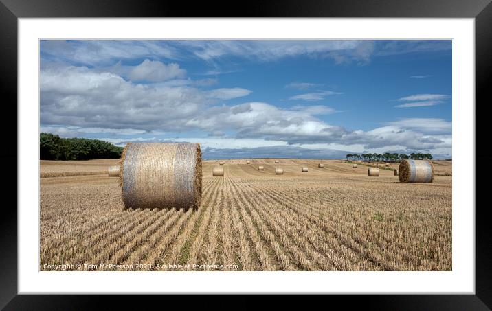 Harvest Bounty: Hay Bales in Moray Framed Mounted Print by Tom McPherson