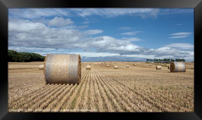 Harvest Bounty: Hay Bales in Moray Framed Print by Tom McPherson