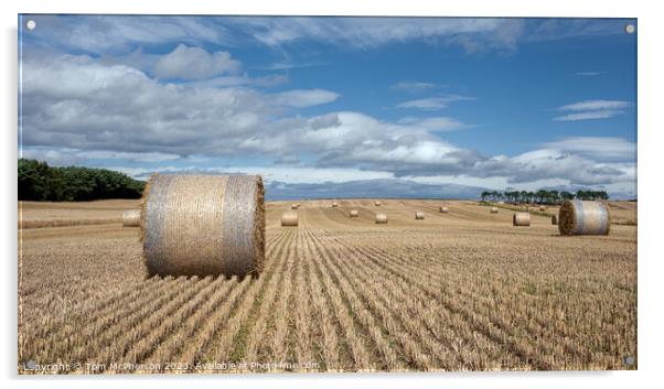 Harvest Bounty: Hay Bales in Moray Acrylic by Tom McPherson