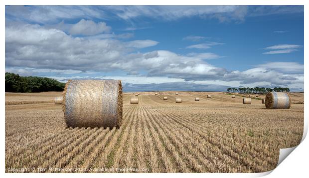 Harvest Bounty: Hay Bales in Moray Print by Tom McPherson
