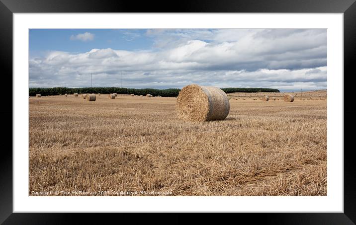 Harvest's Crescendo: Hay Bales in Moray Field Framed Mounted Print by Tom McPherson