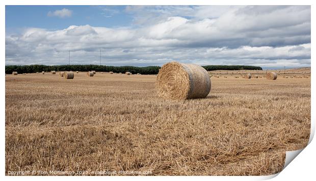 Harvest's Crescendo: Hay Bales in Moray Field Print by Tom McPherson
