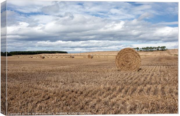 Hay Harvest: Moray's Heartbeat of Agriculture Canvas Print by Tom McPherson