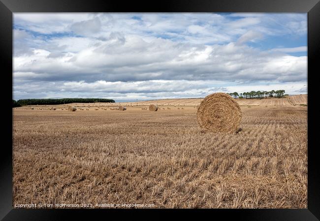 Hay Harvest: Moray's Heartbeat of Agriculture Framed Print by Tom McPherson