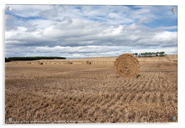 Hay Harvest: Moray's Heartbeat of Agriculture Acrylic by Tom McPherson