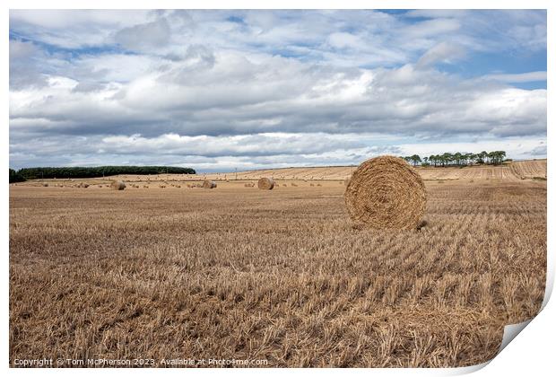 Hay Harvest: Moray's Heartbeat of Agriculture Print by Tom McPherson