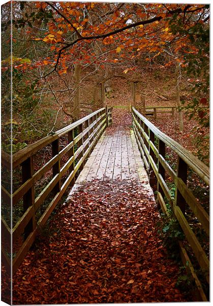 Woodland Bridge Autumn Canvas Print by Keith Thorburn EFIAP/b
