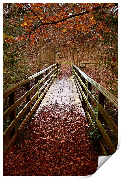 Woodland Bridge Autumn Print by Keith Thorburn EFIAP/b
