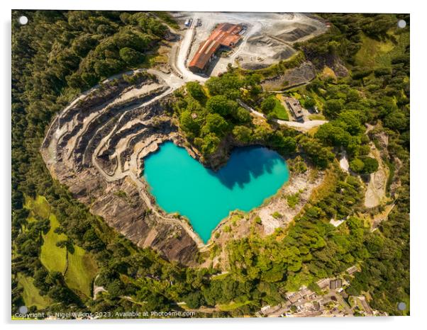 Elterwater Quarry, Lake District Acrylic by Nigel Wilkins