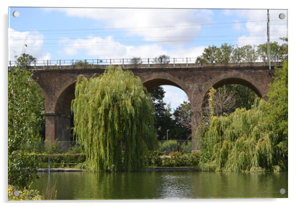 Central Park Chelmsford Acrylic by John Bridge