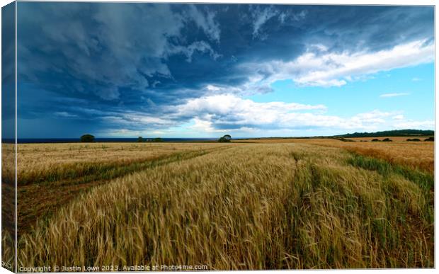 Field on Norfolk Coast as storm comes in Canvas Print by Justin Lowe