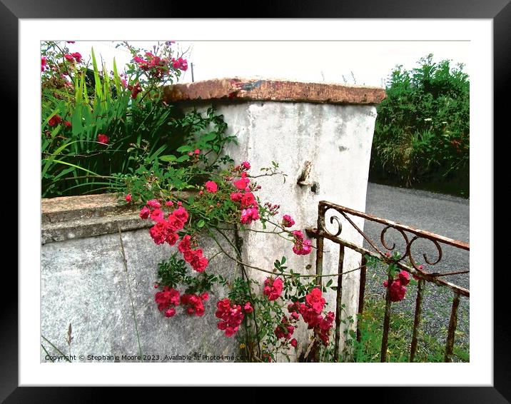 Roses at the Gate Framed Mounted Print by Stephanie Moore