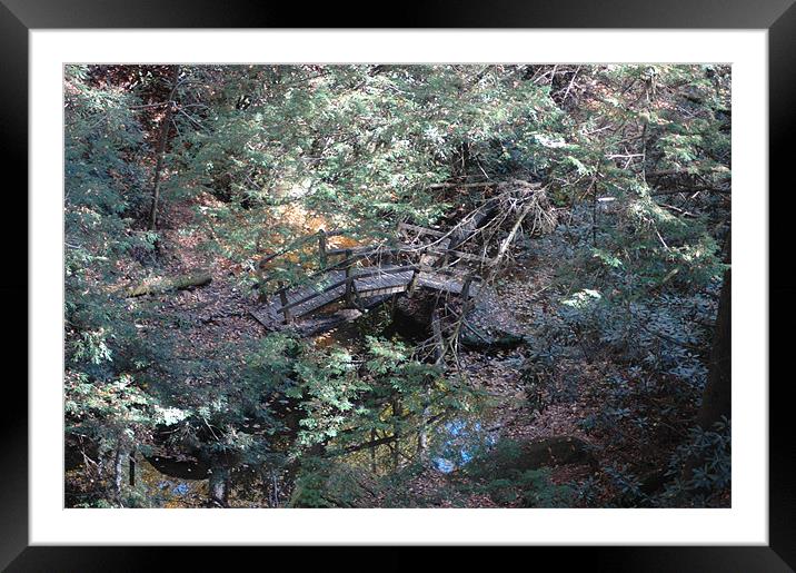 Forgoten Paths Framed Mounted Print by harry berry
