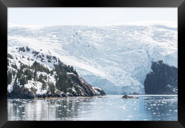 Blackstone Tidewater Glacier in Blackstone bay, Alaska, USA Framed Print by Dave Collins