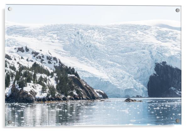 Blackstone Tidewater Glacier in Blackstone bay, Alaska, USA Acrylic by Dave Collins