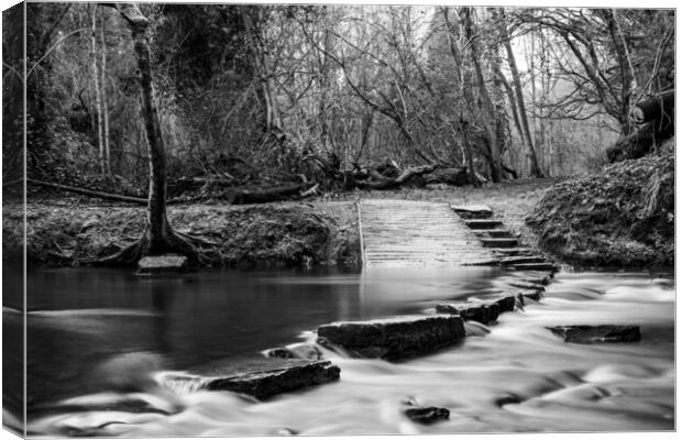Rivelin Valley Stepping Stones Canvas Print by Steve Smith
