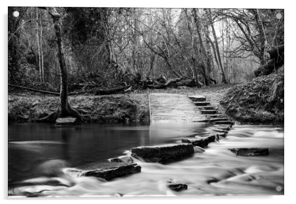 Rivelin Valley Stepping Stones Acrylic by Steve Smith